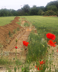 Photo : Lancement de travaux pré-diagnostics archéologiques