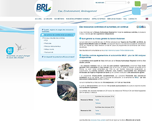 Capture d'image : site internet de BRL